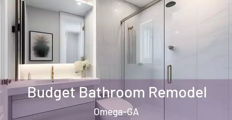 inner Bathroom imggen Budget Bathroom Remodel Omega-GA