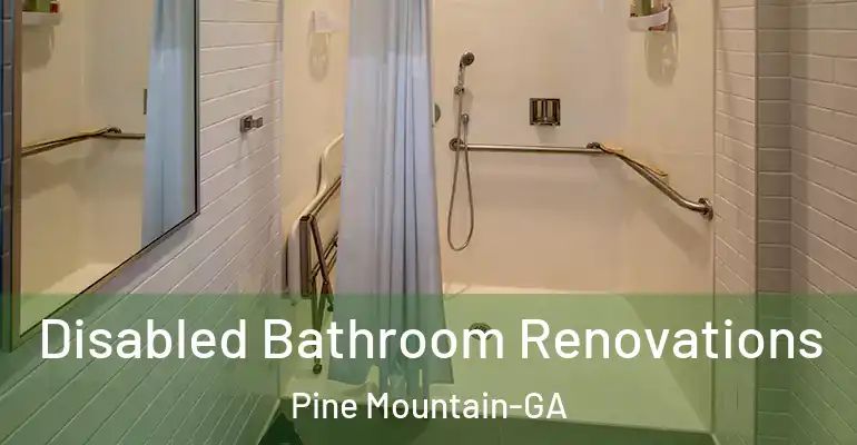 inner Bathroom imggen Disabled Bathroom Renovations Pine Mountain-GA