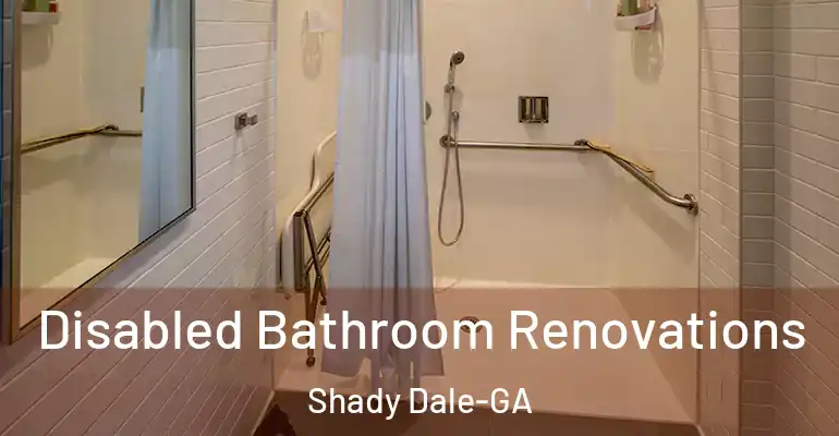 inner Bathroom imggen Disabled Bathroom Renovations Shady Dale-GA