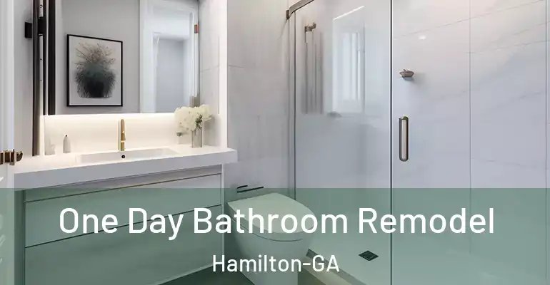 inner Bathroom imggen One Day Bathroom Remodel Hamilton-GA