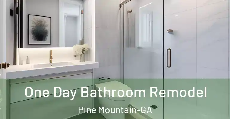 inner Bathroom imggen One Day Bathroom Remodel Pine Mountain-GA