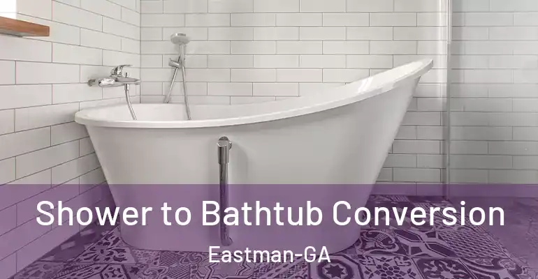 inner Bathroom imggen Shower to Bathtub Conversion Eastman-GA