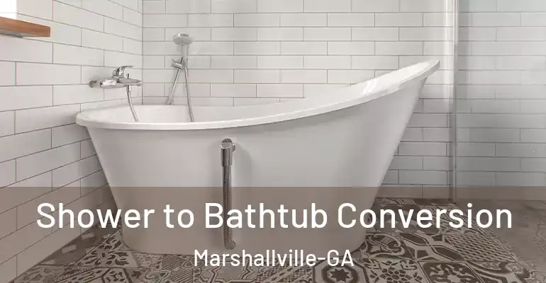inner Bathroom imggen Shower to Bathtub Conversion Marshallville-GA