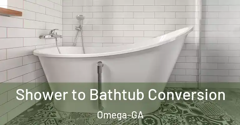 inner Bathroom imggen Shower to Bathtub Conversion Omega-GA