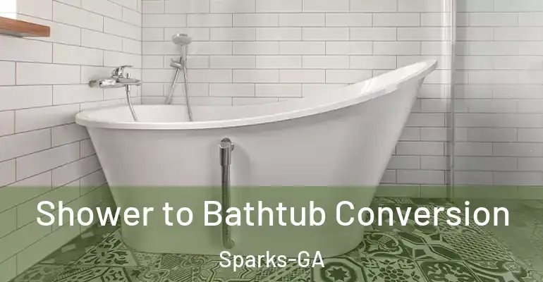 inner Bathroom imggen Shower to Bathtub Conversion Sparks-GA