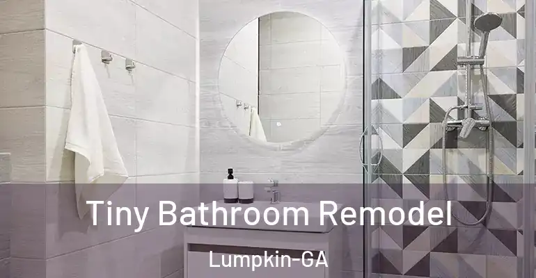 inner Bathroom imggen Tiny Bathroom Remodel Lumpkin-GA