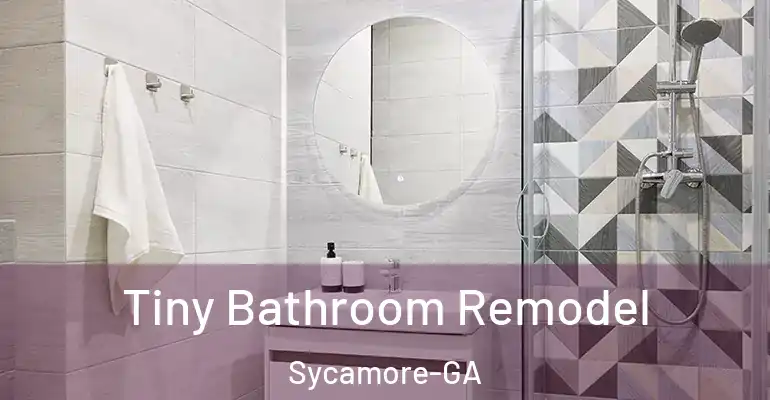 inner Bathroom imggen Tiny Bathroom Remodel Sycamore-GA