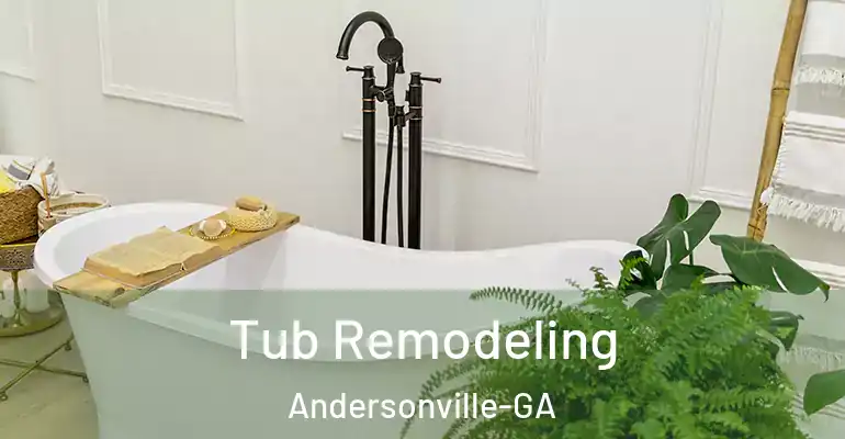 inner Bathroom imggen Tub Remodeling Andersonville-GA