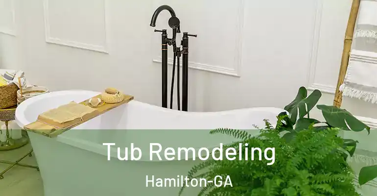 inner Bathroom imggen Tub Remodeling Hamilton-GA
