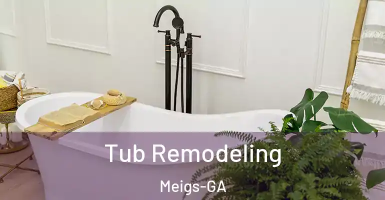 inner Bathroom imggen Tub Remodeling Meigs-GA