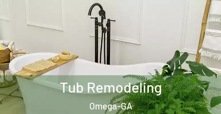 inner Bathroom imggen Tub Remodeling Omega-GA