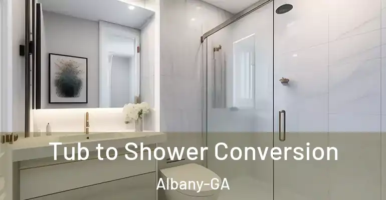 inner Bathroom imggen Tub to Shower Conversion Albany-GA