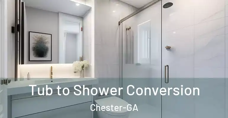 inner Bathroom imggen Tub to Shower Conversion Chester-GA
