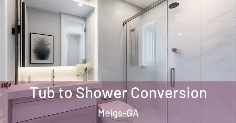 inner Bathroom imggen Tub to Shower Conversion Meigs-GA